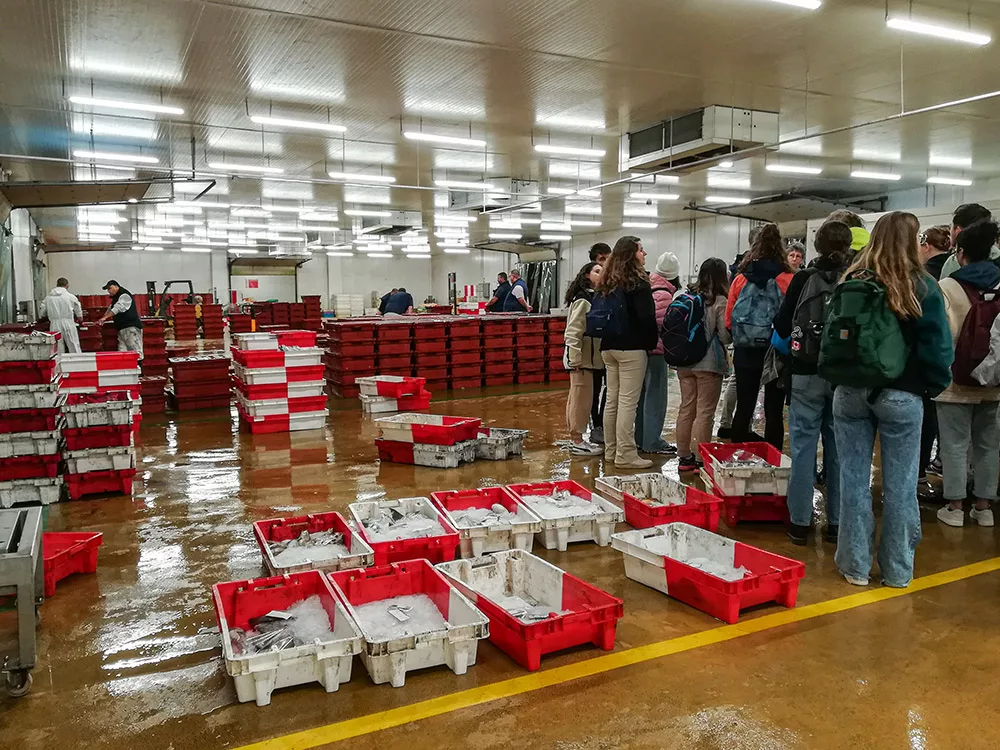 Photo du groupe d'étudiants en immersion à l'IFSEA