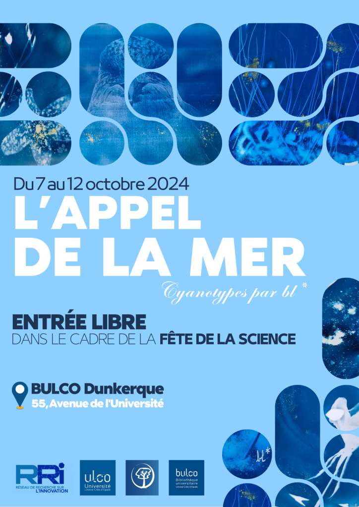 Affiche l'appel de la mer à Boulogne