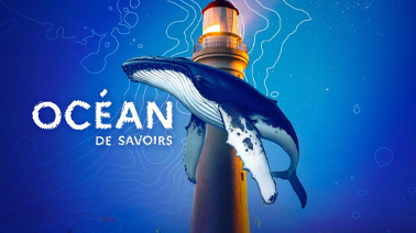 Visuel d'une baleine devant un phare
