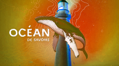 Visuel d'une baleine devant un phare