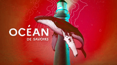 Visuel d'une baleine devant un phare