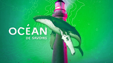 Visuel d'une baleine devant un phare