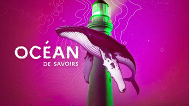 Visuel d'une baleine devant un phare