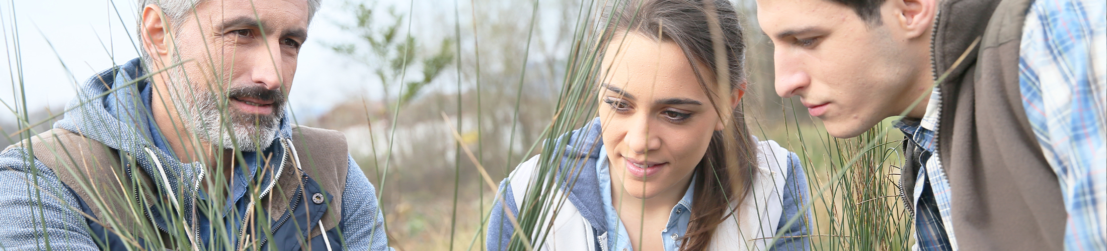 Photo d'un groupe effectuant des observations dans la nature