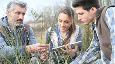 Photo d'un groupe effectuant des observations dans la nature