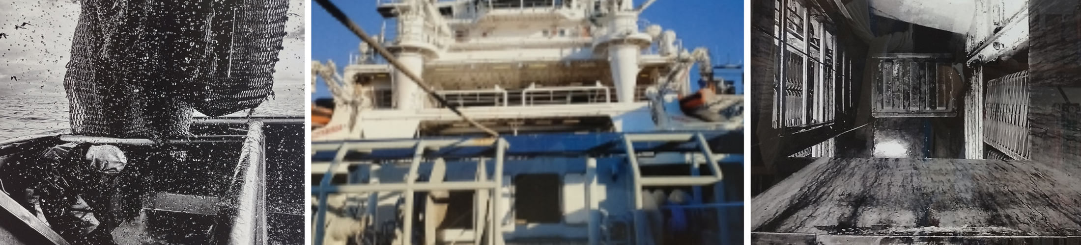 Photo de l'exposition Regards maritimes